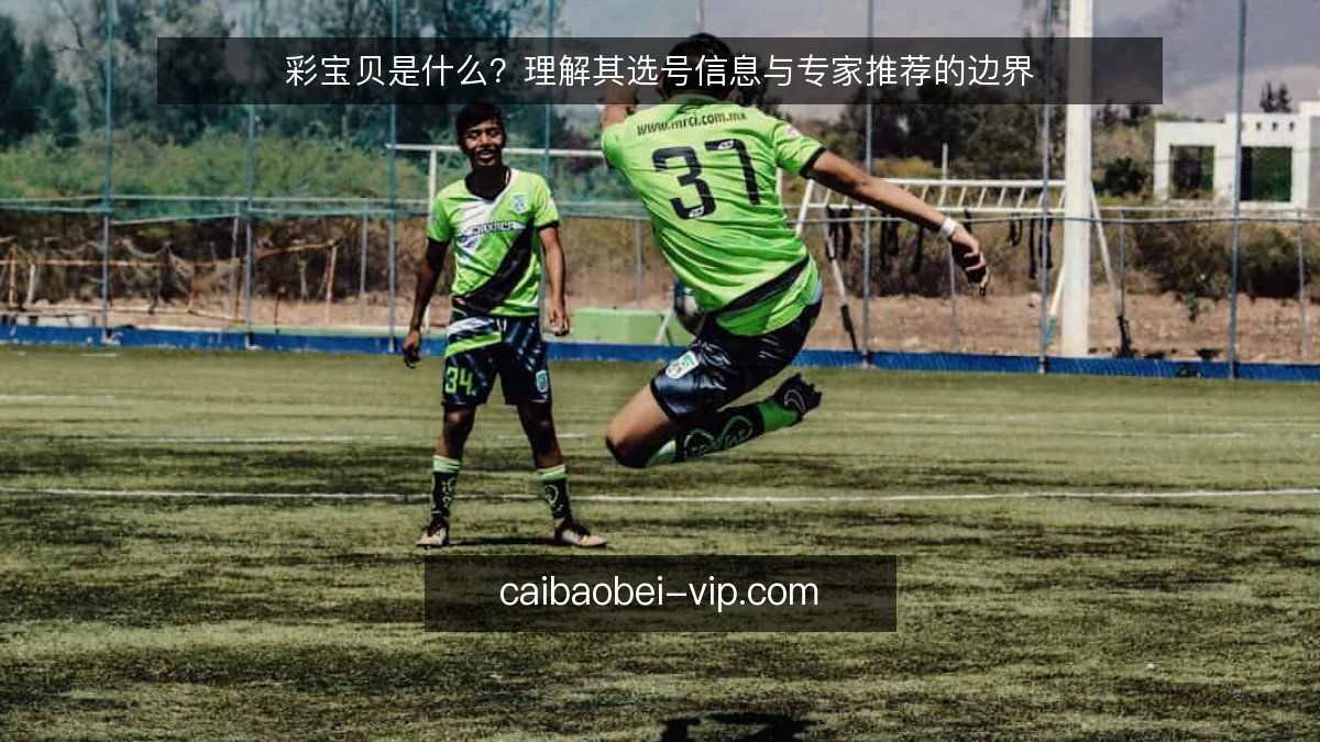 彩宝贝是什么？理解其选号信息与专家推荐的边界
