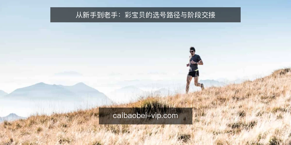 从新手到老手:彩宝贝的选号路径与阶段交接 — 场景设定:从偶然接触到主动使用 配图