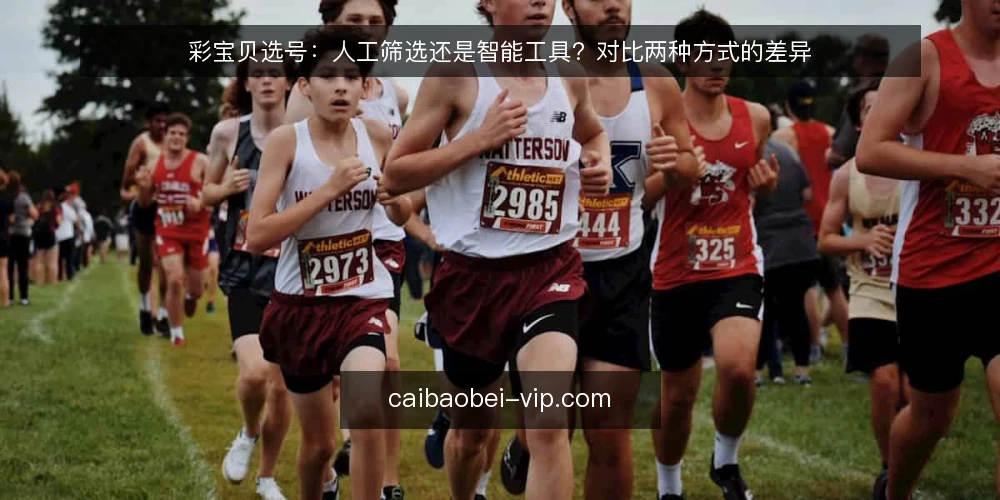 彩宝贝选号：人工筛选还是智能工具？对比两种方式的差异 — 为什么现在要审计你的选号方式 配图