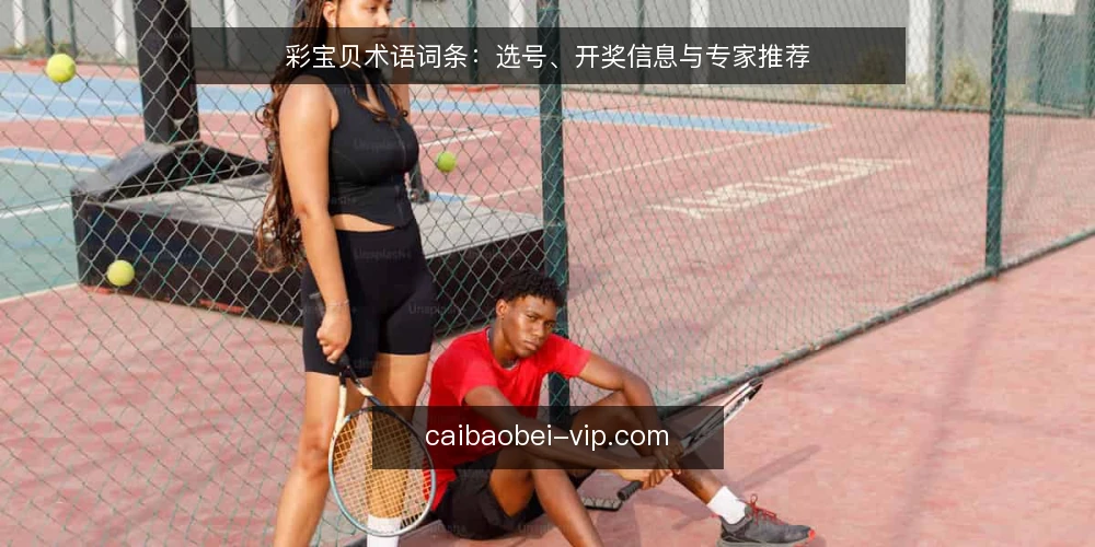 彩宝贝术语词条：选号、开奖信息与专家推荐 — 彩宝贝是什么？它涵盖哪些术语？ 配图