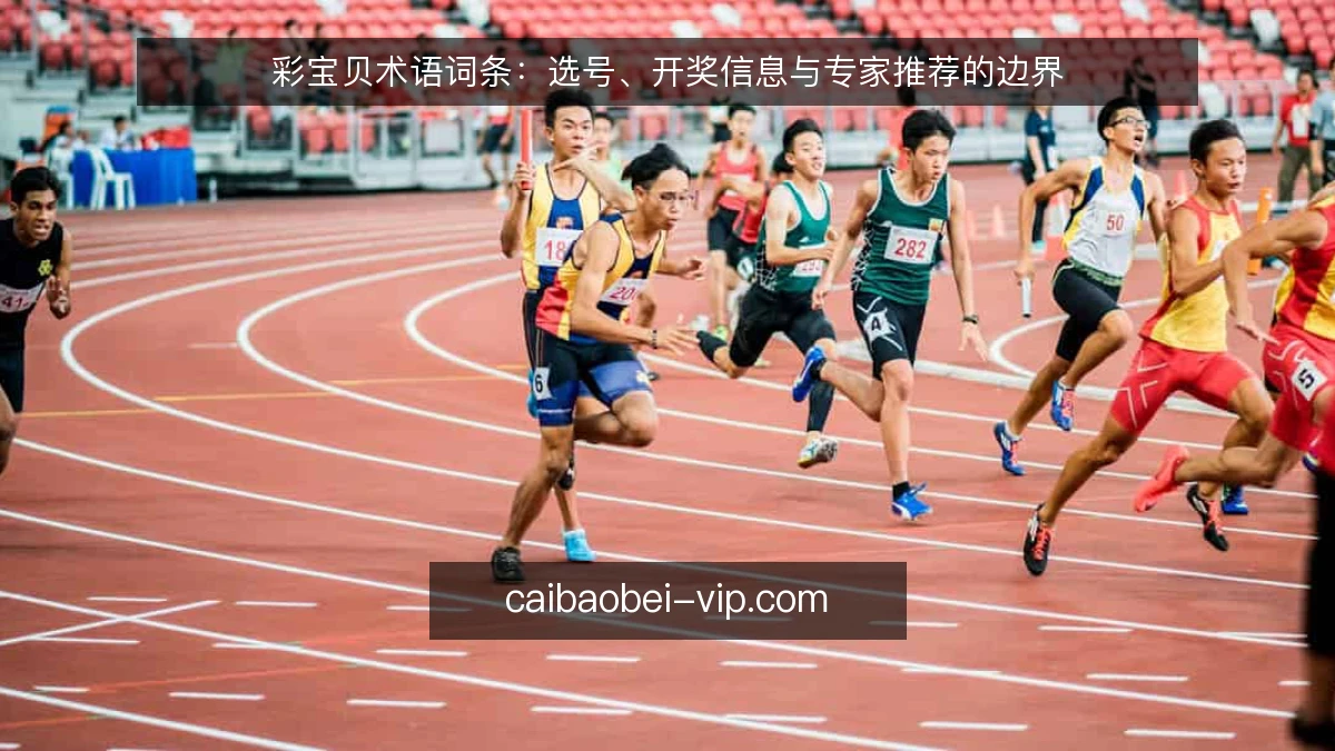 彩宝贝术语词条：选号、开奖信息与专家推荐的边界