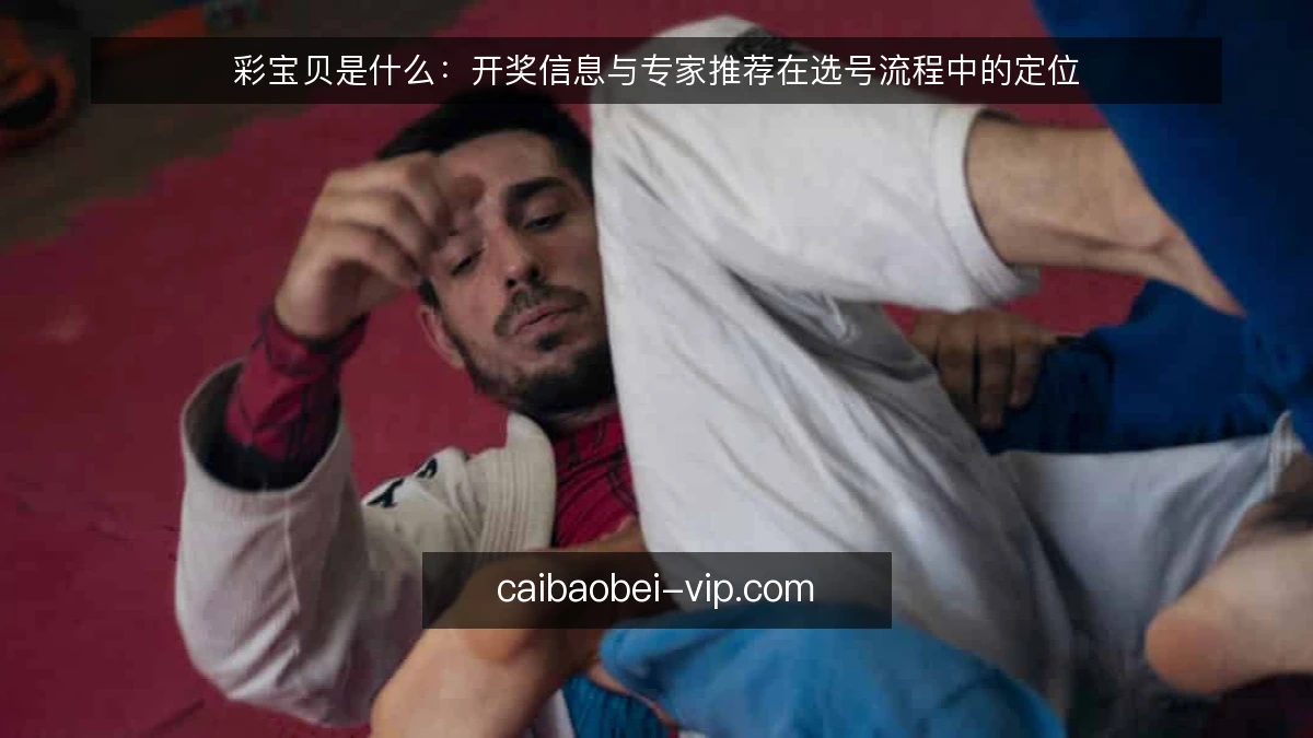 彩宝贝是什么:开奖信息与专家推荐在选号流程中的定位